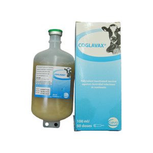 Coglavax 100ml